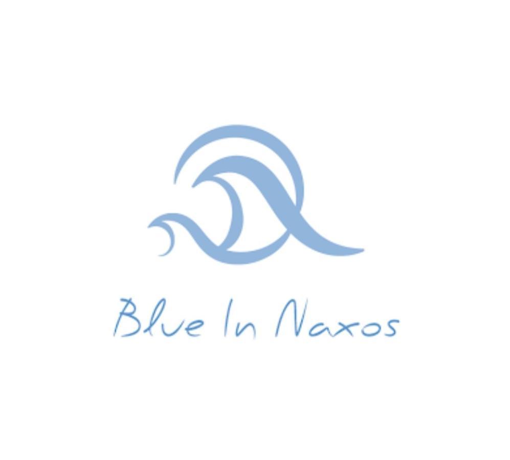 Hotel Blue In Naxos Naxos City Esterno foto